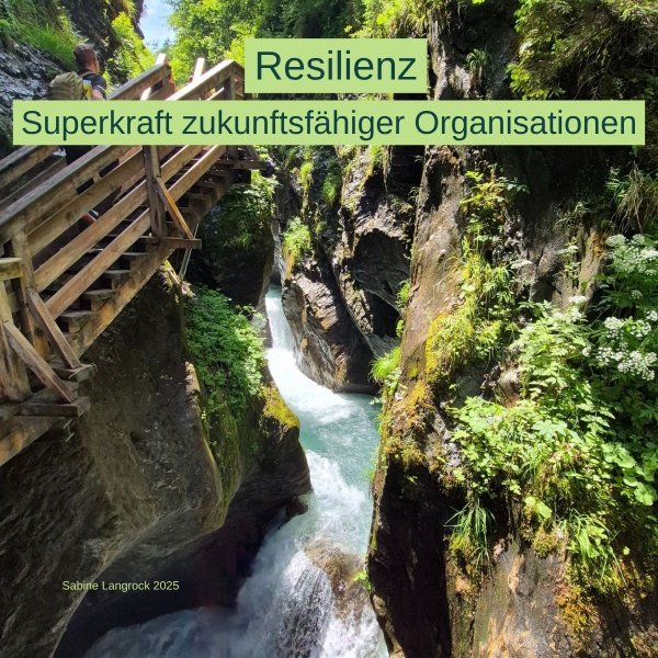 Resilience Resilience
